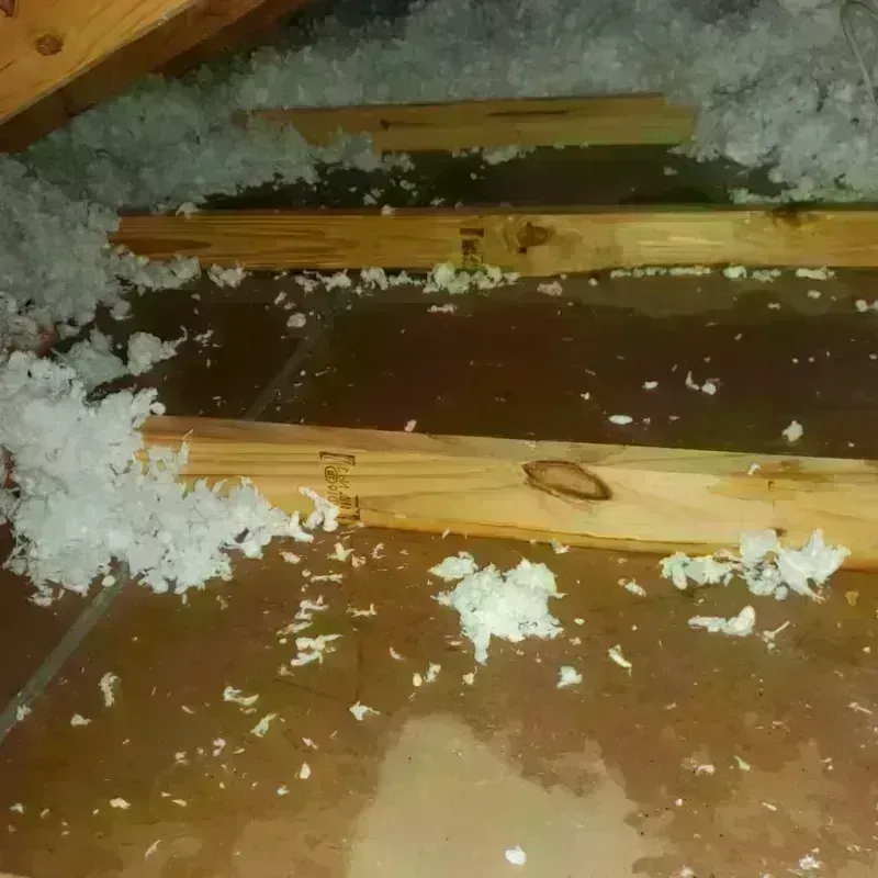 Attic Water Damage in Newfane, VT